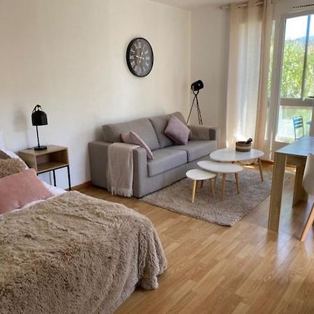 Studio 33 M2 , Climatise, Parking Exterieur Prive Gratuit Amelie-les-Bains-Palalda ภายนอก รูปภาพ